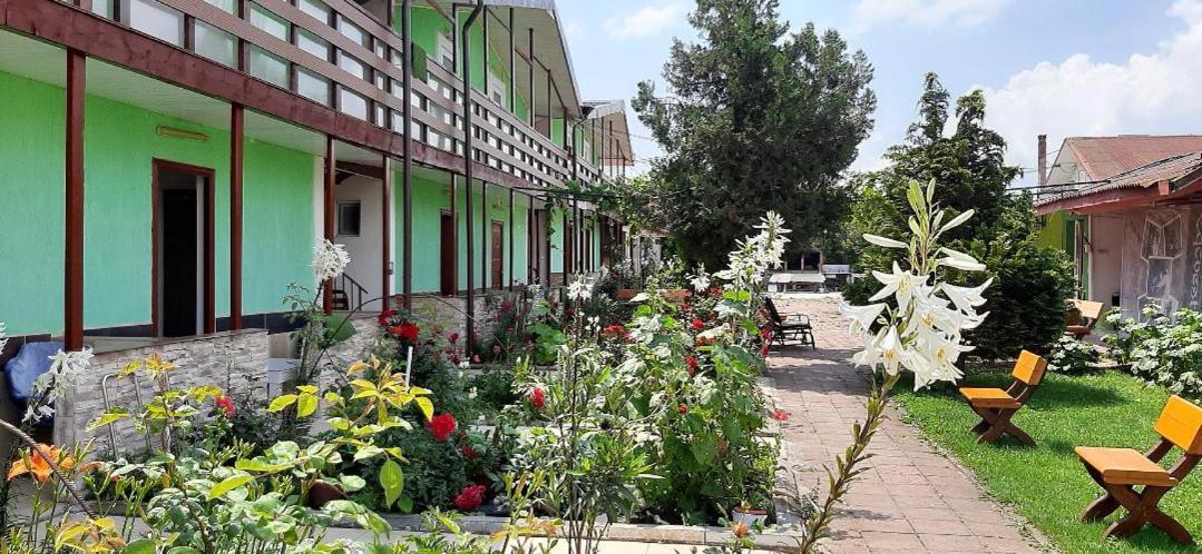 COMPLEX- FOIȘOR Costinesti Hotel Exterior foto